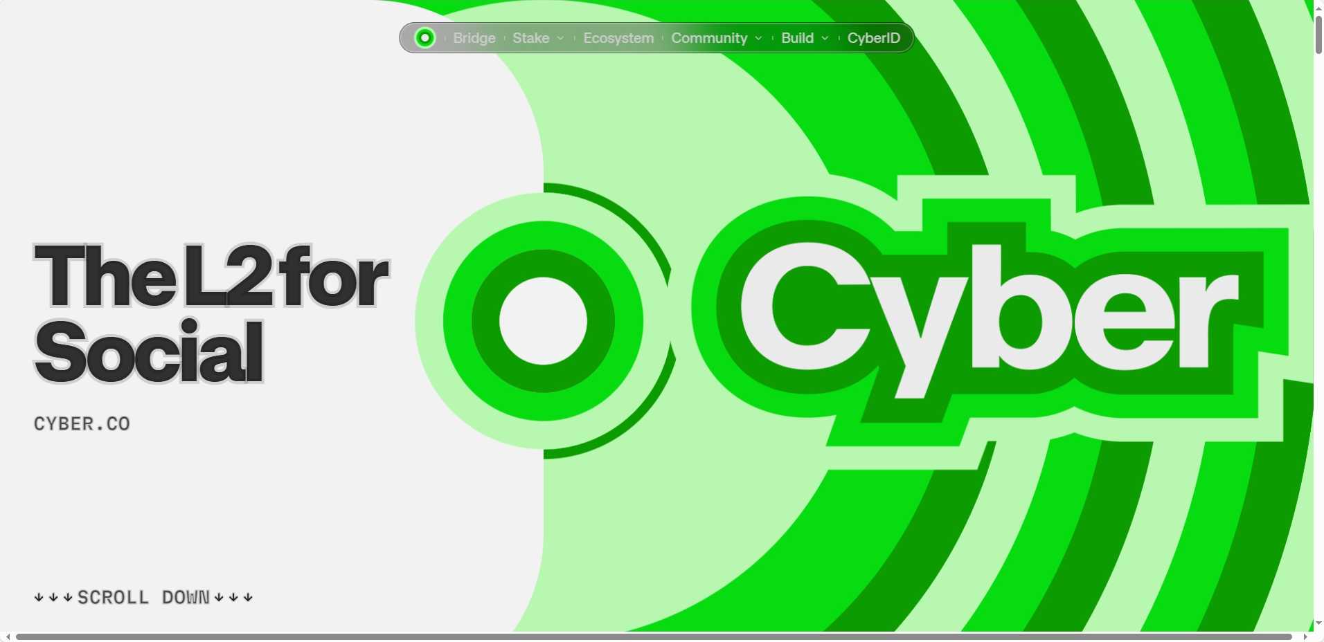 Cyber