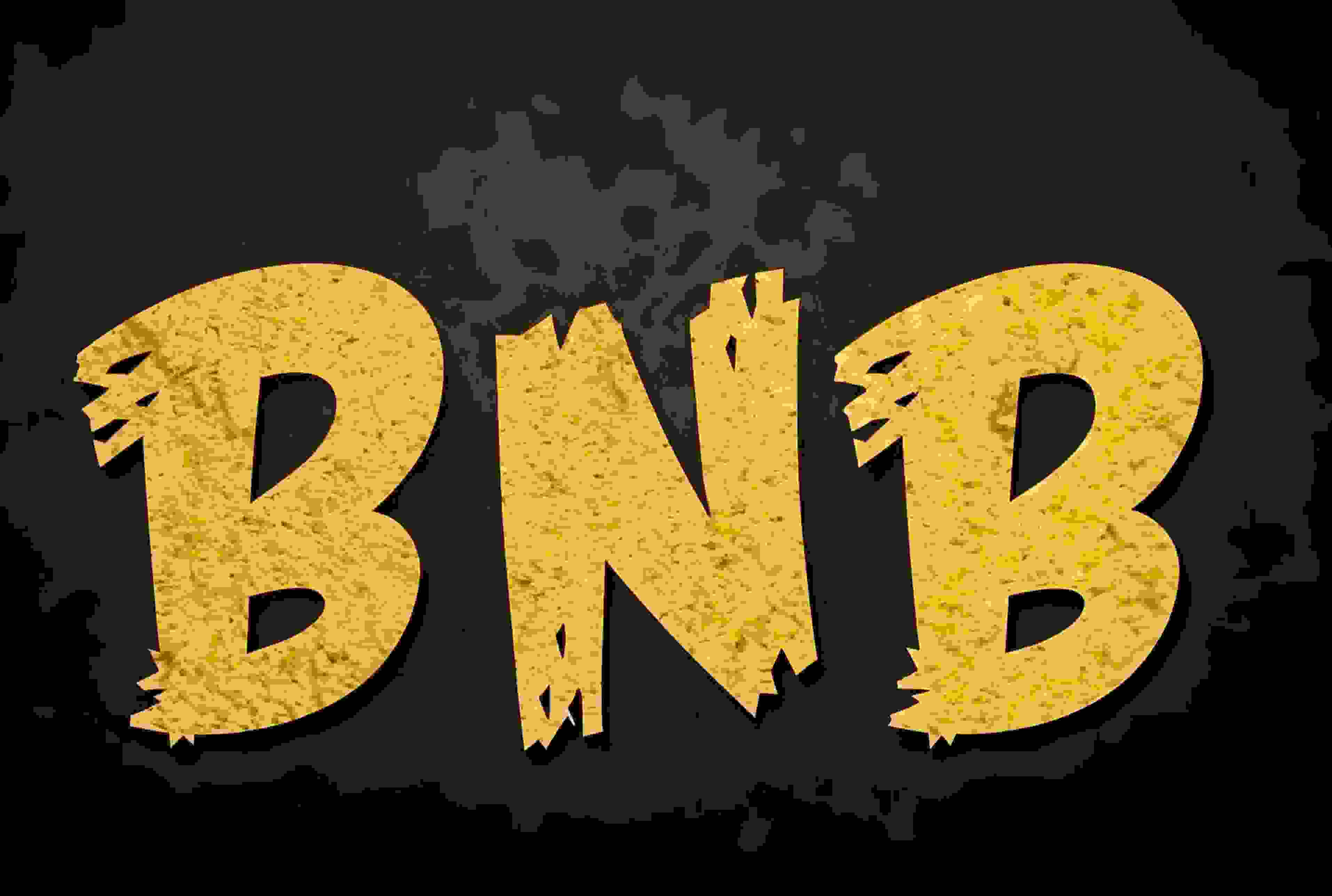 [0x胖达老爹] 我为什么会坚定的持有BNB？